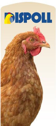 pularda